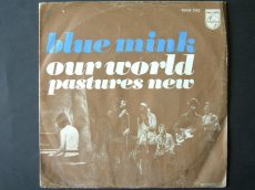 45B525 BLUE MINK - OUR WORLD