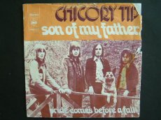 45C293 CHICORY TIP - SON OF MY FATHER