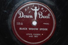 FULSON, LOWEL - BLACK WIDOW SPIDER