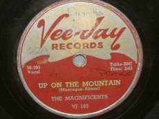 MAGNIFICIENTS - UP ON THE MOUNTAIN