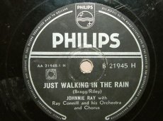 RAY, JOHNNY - JUST WALKING IN THE RAIN