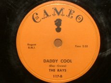 RAYS - DADDY COOL