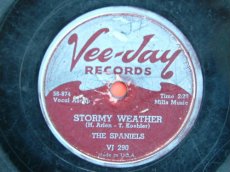 78S100 SPANIELS - STORMY WHEATER
